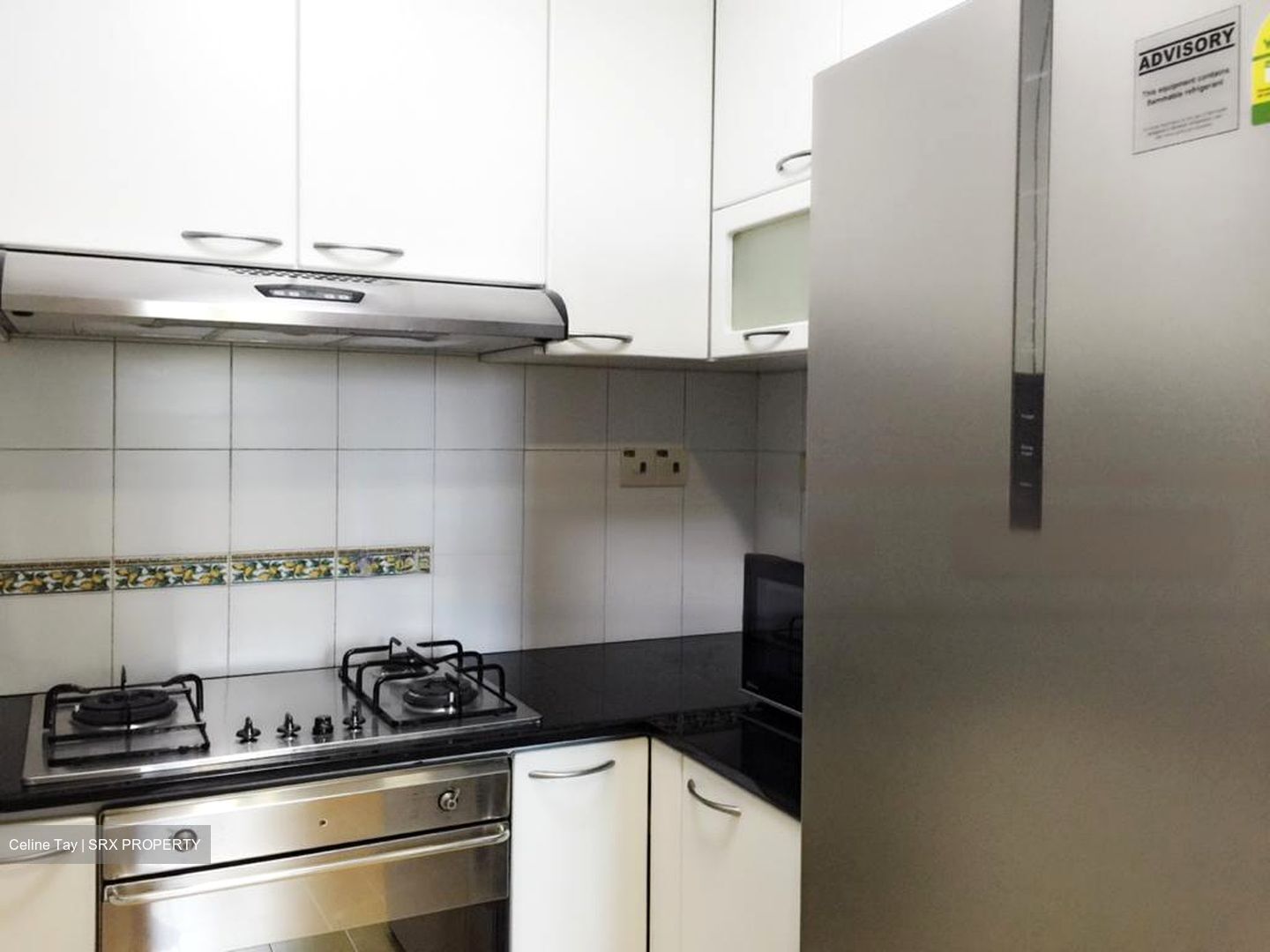 Thomson Euro-asia (D11), Condominium #453394951